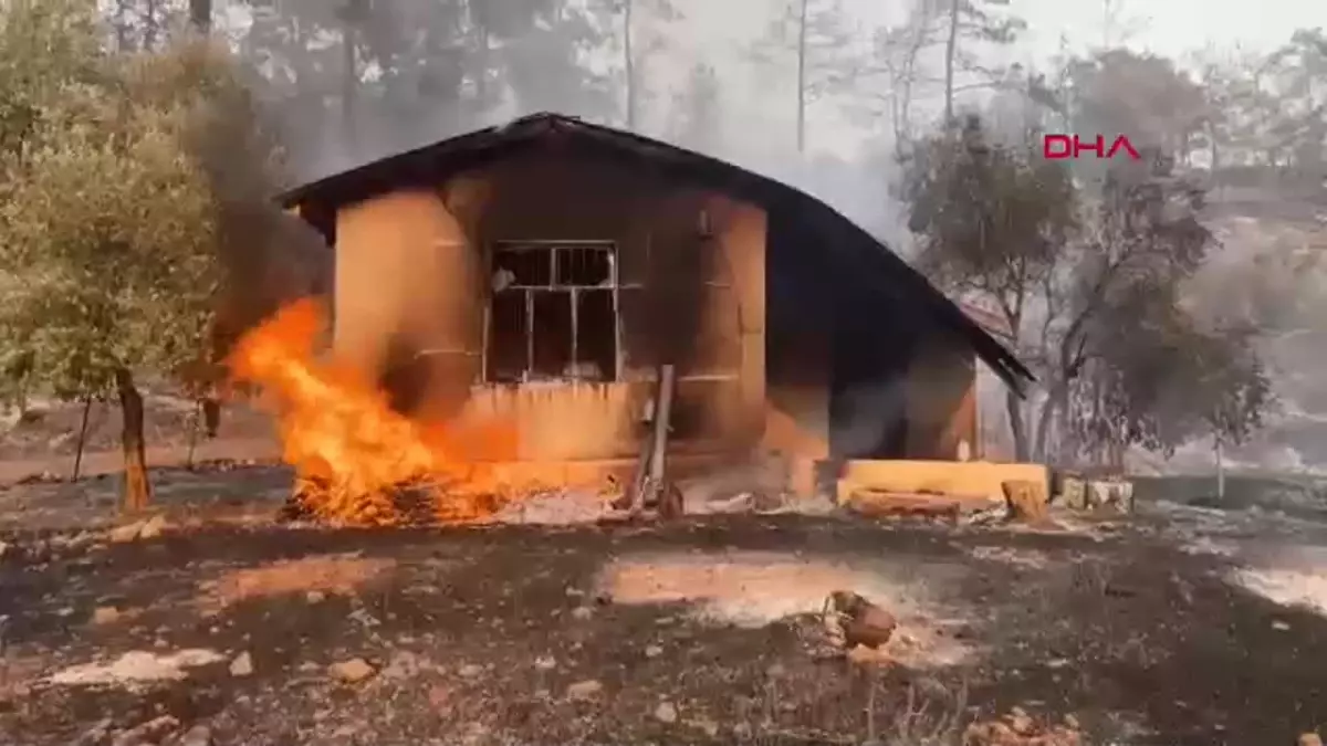 Muğla’da orman yangını