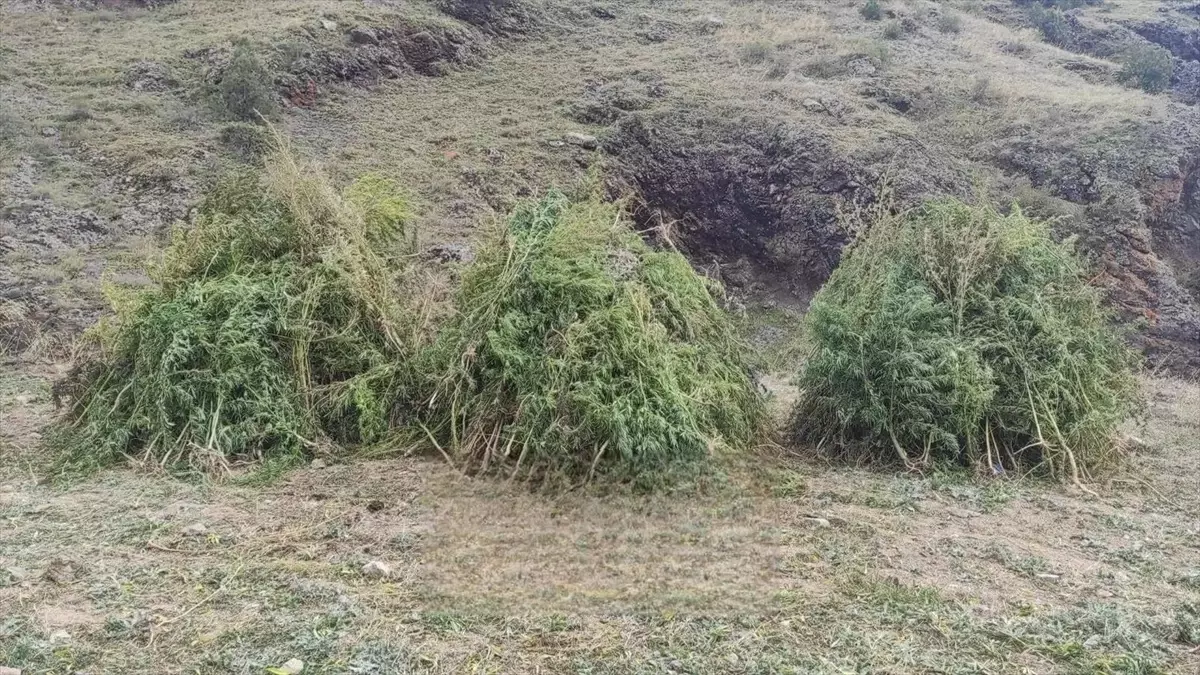 Jandarma Eylül’de Uyuşturucuya Geçit Vermedi