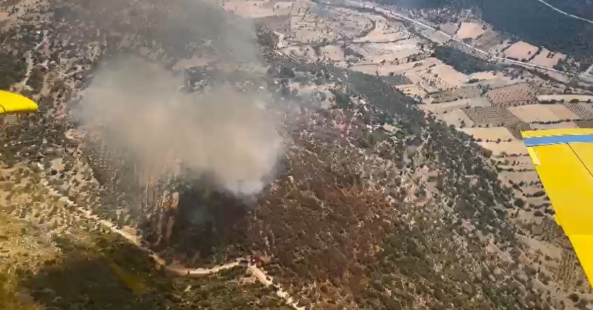 Muğla’daki yangında 2 hektar makilik ve tarım alanı zarar gördü