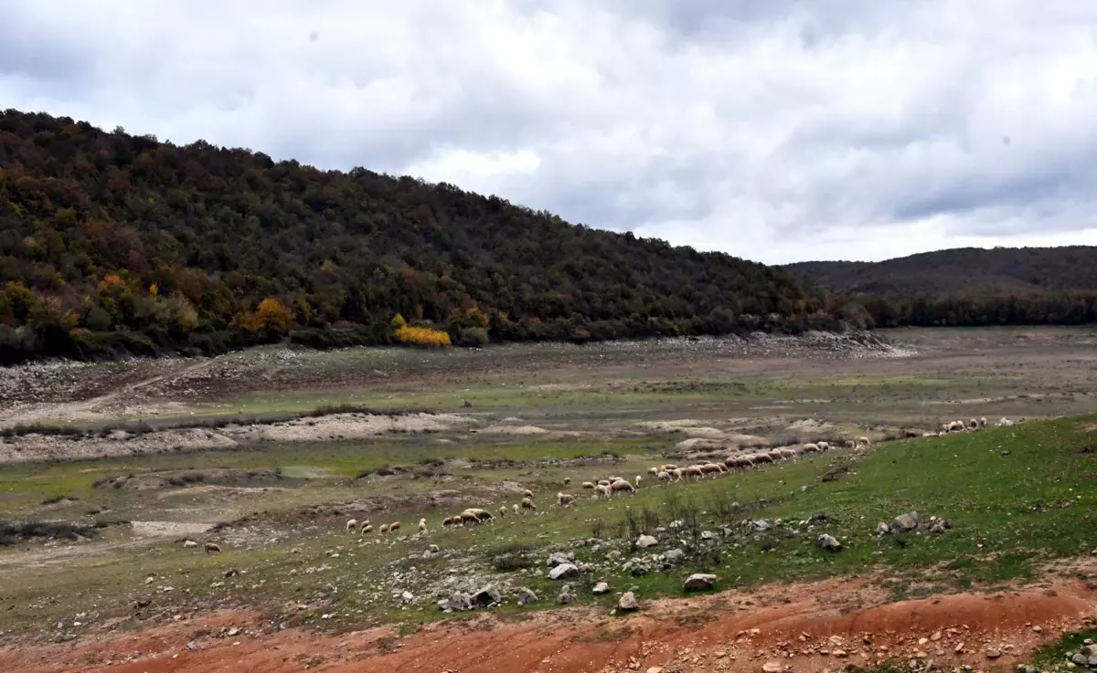 İstanbul Barajlarında Su Krizi